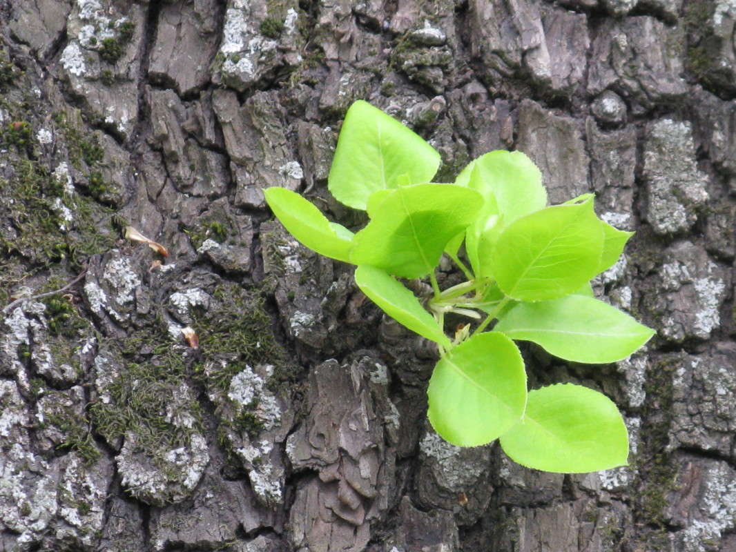 ������� � ������ ����� ������� ��������� �� PhotoGeek.ru #����� #������ ��� ������� #����� ��������������