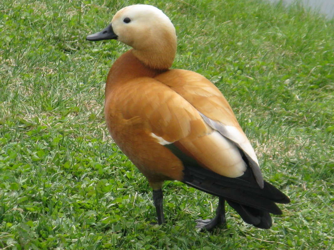 ��������� ����� ������� ��������� �� PhotoGeek.ru #�������� ��� #������ ��� ������� #����� ��� ��� ��������� #����� ��������