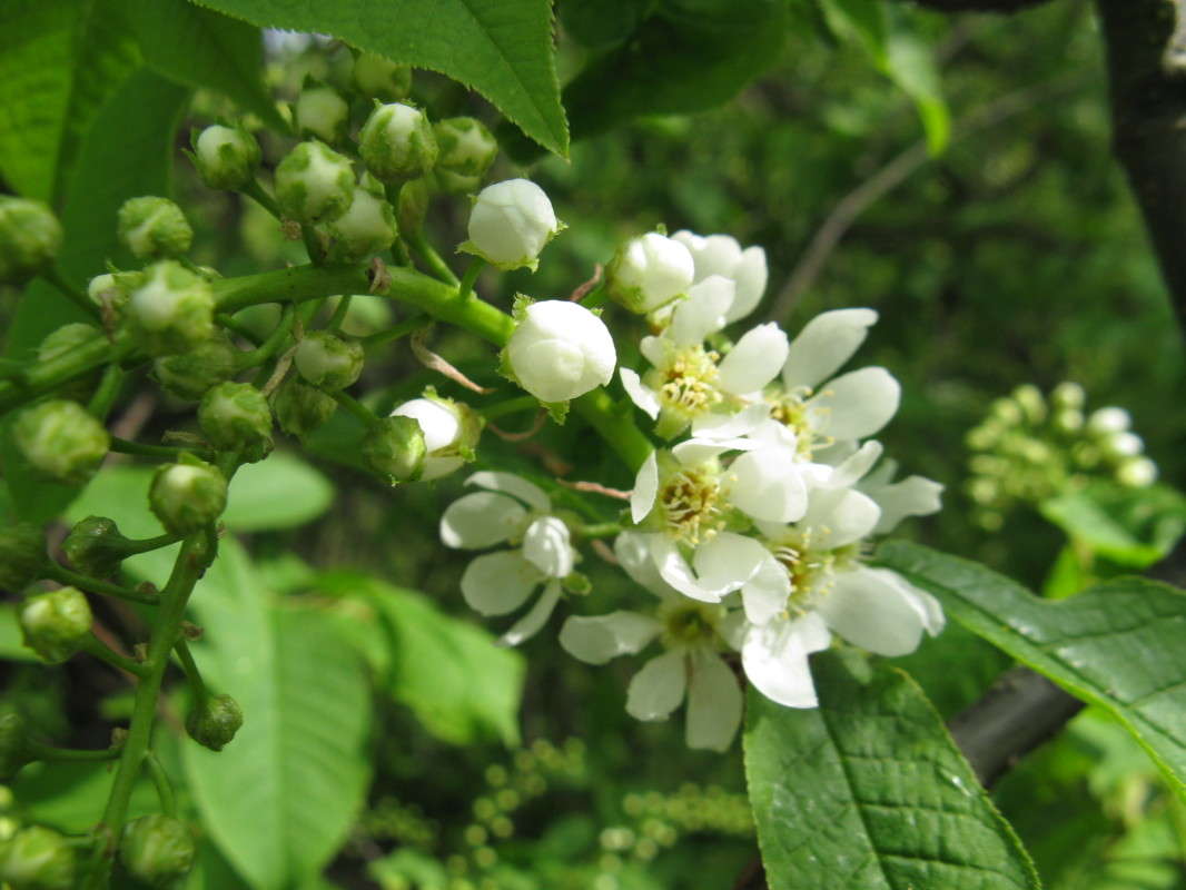 ������� ����� ������� ��������� �� PhotoGeek.ru #����� #������ ��� ������� #����� ��������������