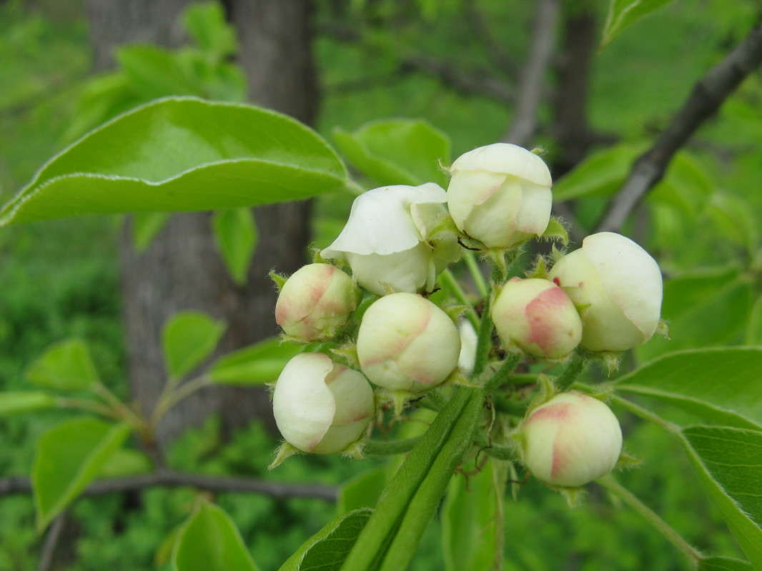 ����� ��������� ����� ������� ��������� �� PhotoGeek.ru #����� #������ ��� ������� #����� ��������������