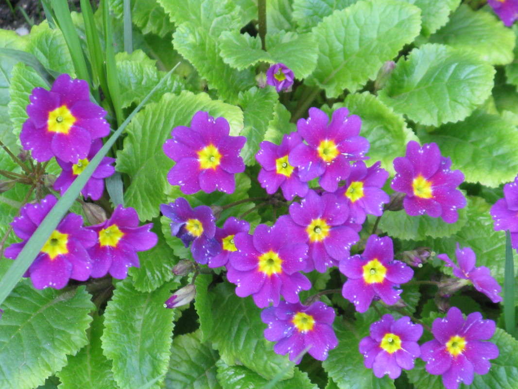 �������� ����� ����� ������� ��������� �� PhotoGeek.ru #������ ��� ������� #����� ��������������