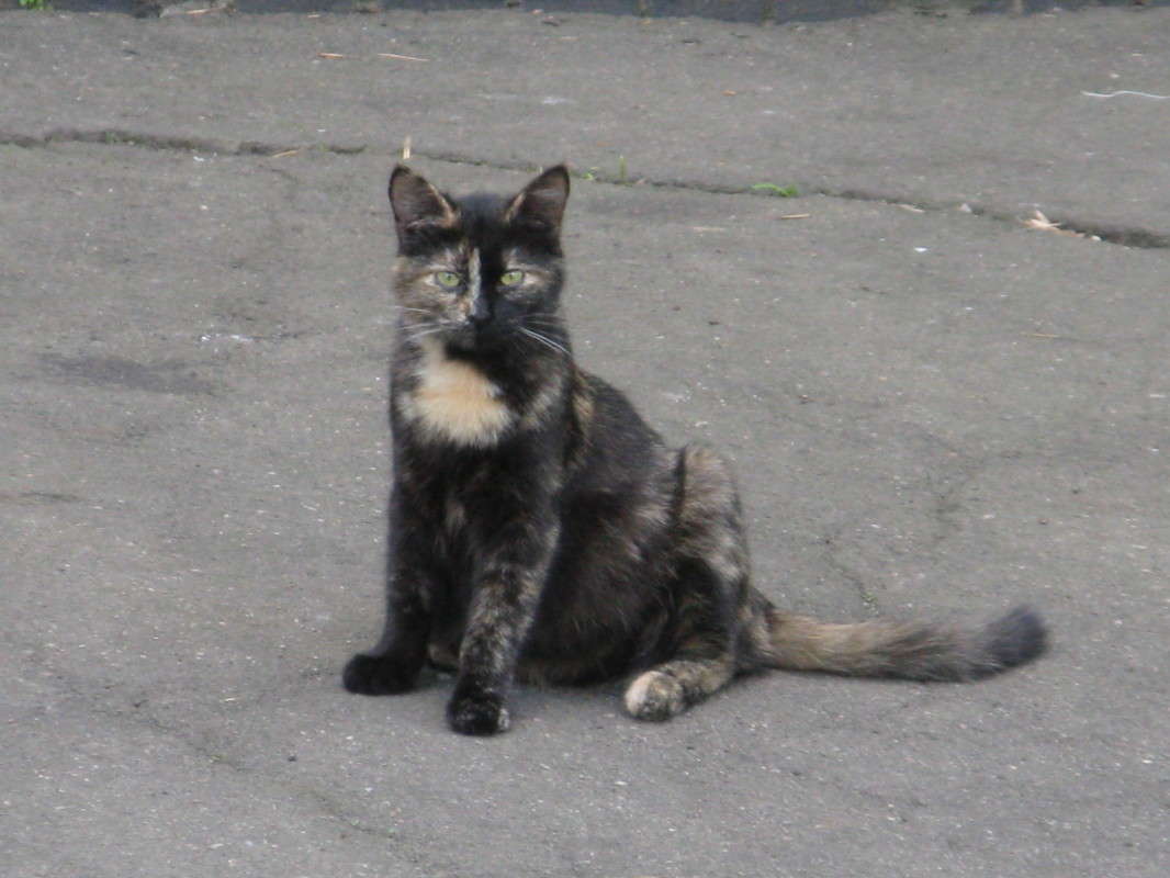 ������� ����� ������� ��������� �� PhotoGeek.ru #�������� ��� #������� #������