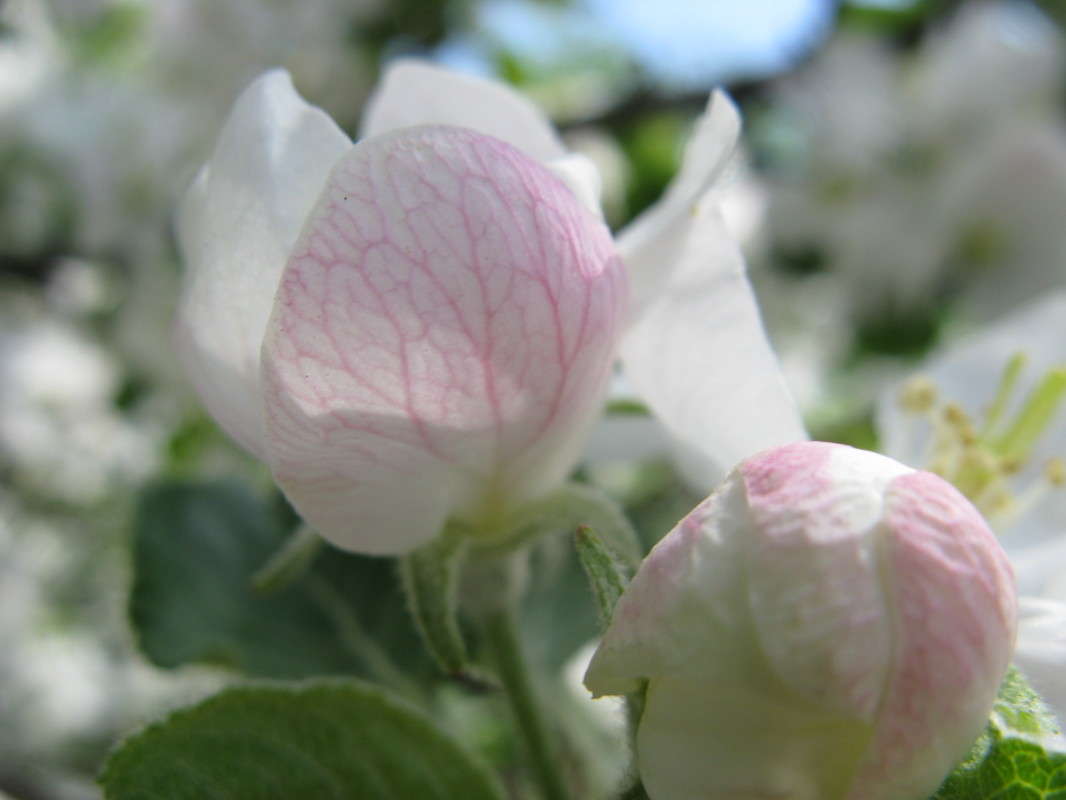 ������ ����� ����� ������� ��������� �� PhotoGeek.ru #����� #������ ��� ������� #����� ��������������