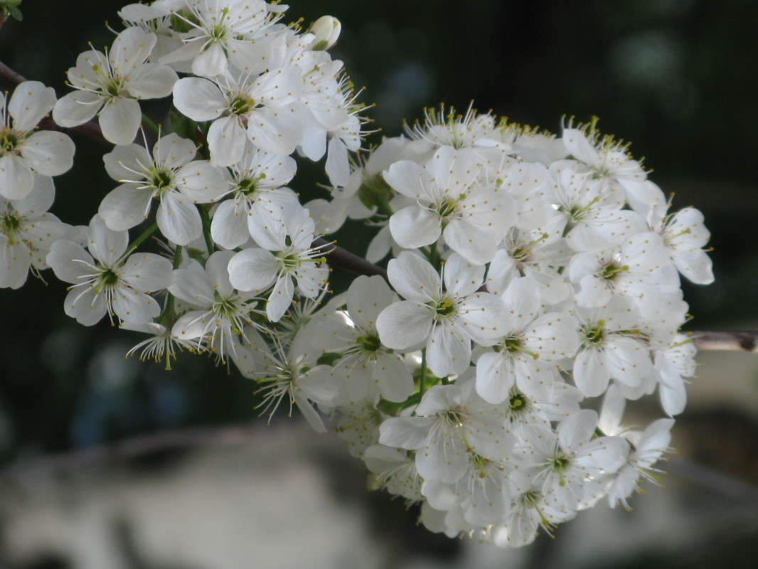 ����� ����� ������� ��������� �� PhotoGeek.ru #����� #������ ��� ������� #����� ��������������