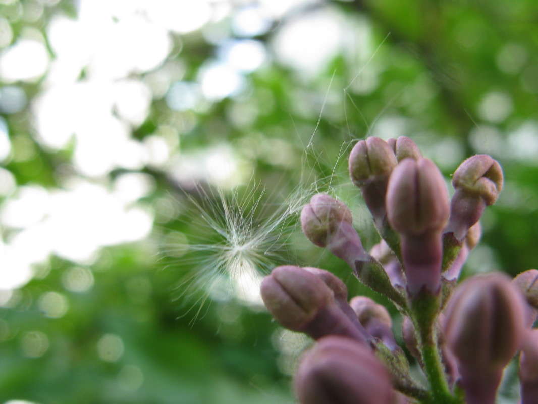 ������� �� ������ ����� ������� ��������� �� PhotoGeek.ru #����� #������ ��� ������� #����� ��������������