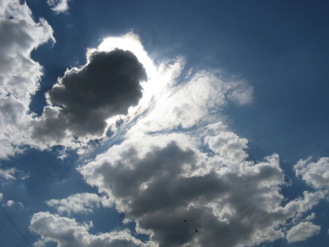 ������ ����� ������� ��������� �� PhotoGeek.ru #������ ��� �������