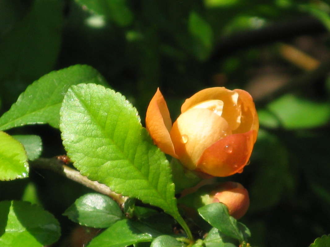 �������� ����� ������� ��������� �� PhotoGeek.ru #����� #������ ��� ������� #����� ��������������