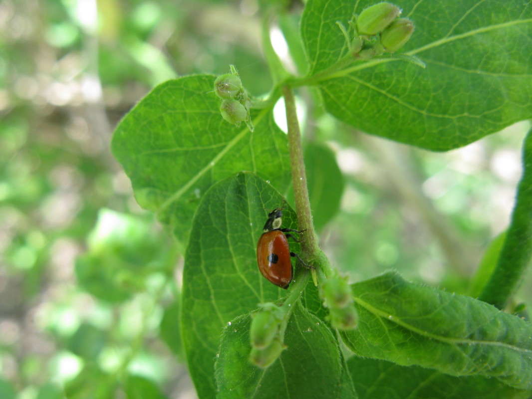 ����� ������� ����� ������� ��������� �� PhotoGeek.ru #����� #������ ��� ������� #����� �������������� #���������