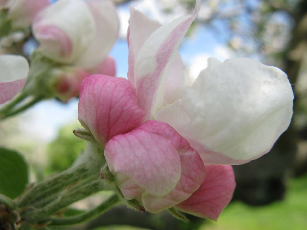 ������ ����� ������� ��������� �� PhotoGeek.ru #����� #������ ��� ������� #����� ��������������