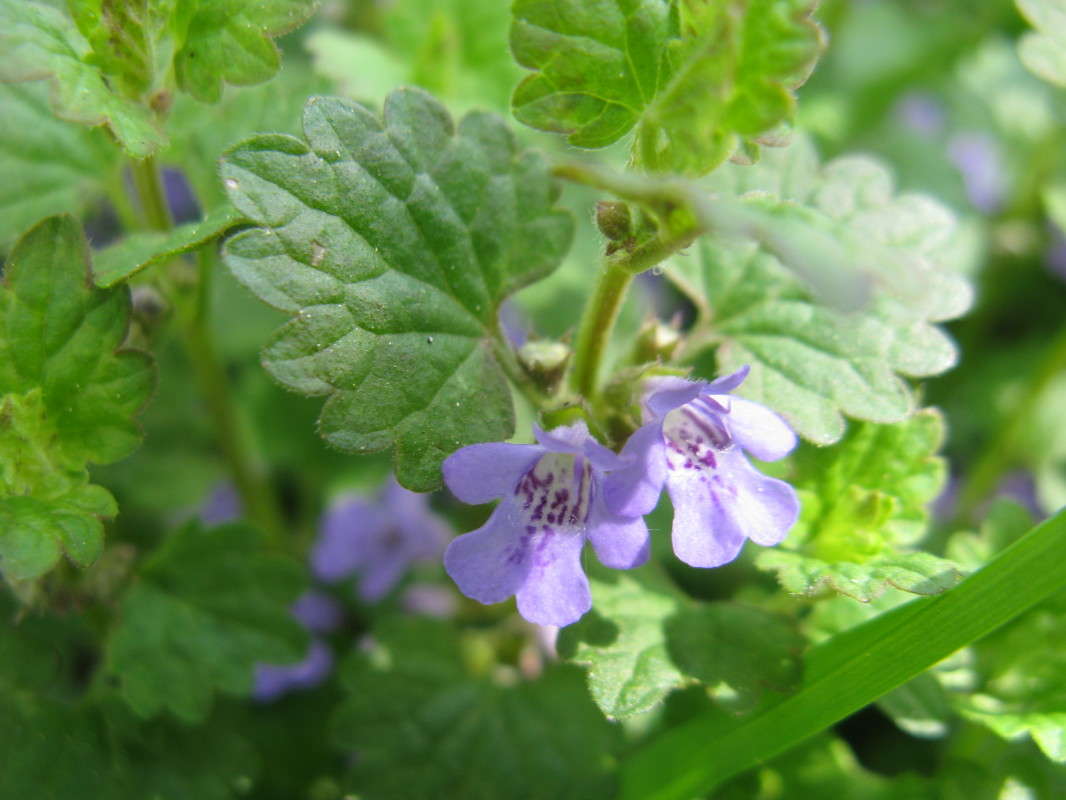 ��������� ����� ������� ��������� �� PhotoGeek.ru #����� #������ ��� ������� #����� ��������������