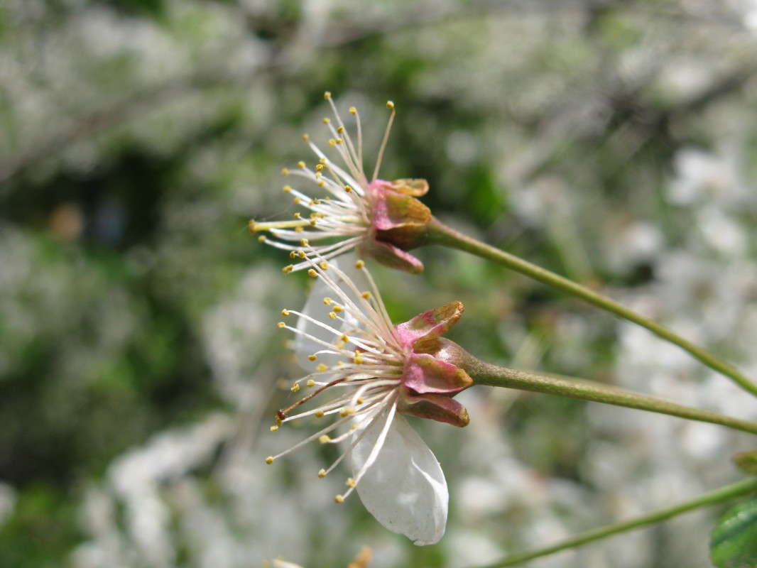 ���������� ����� ����� ������� ��������� �� PhotoGeek.ru #����� #������ ��� ������� #����� ��������������