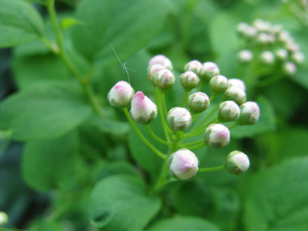 ���������-������������ ����� ������� ��������� �� PhotoGeek.ru #����� #������ ��� ������� #����� ��������������