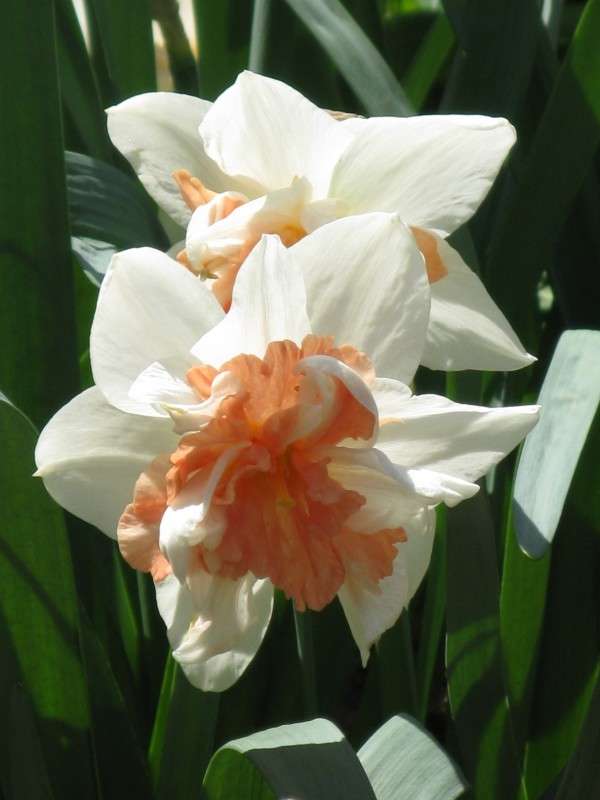 �������� ����� ������� ��������� �� PhotoGeek.ru #������ ��� ������� #����� ��������������