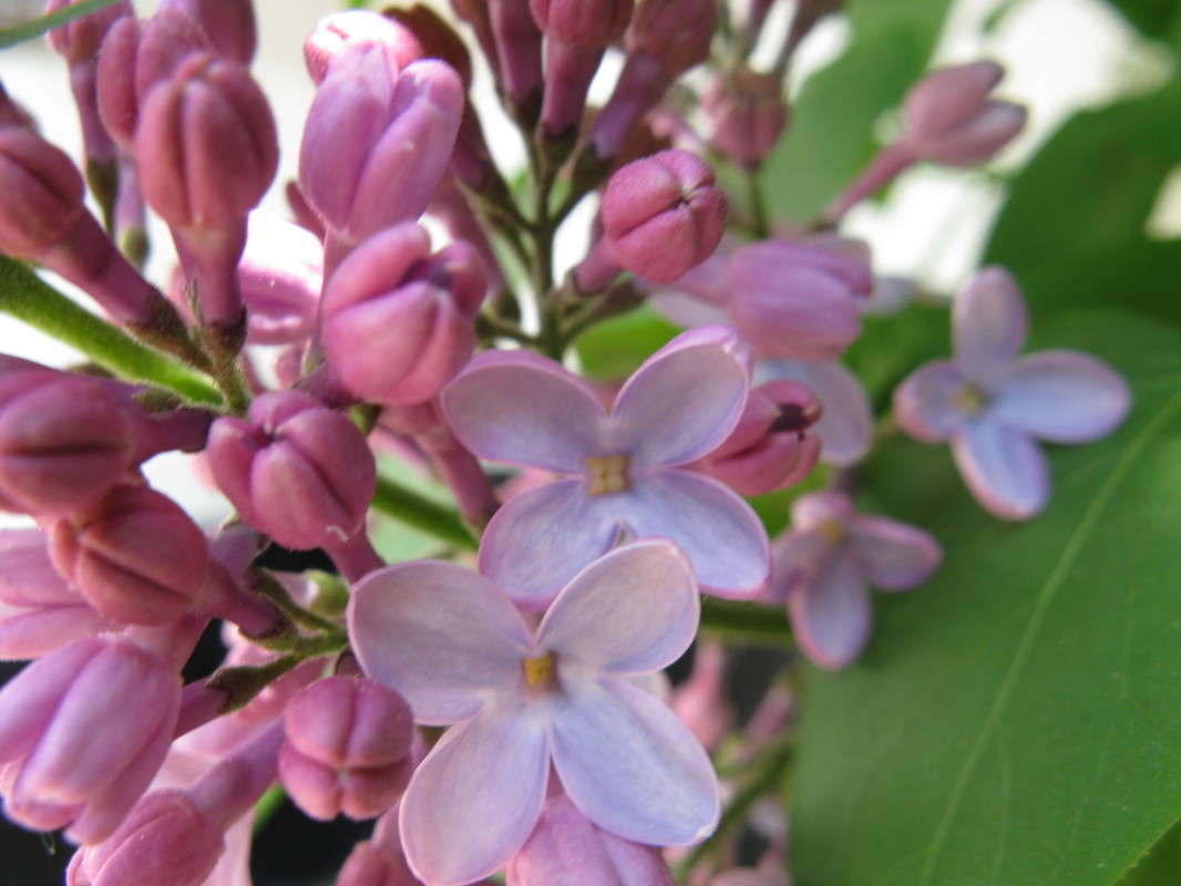 ������ ����� ������� ��������� �� PhotoGeek.ru #����� #������ ��� ������� #����� ��������������