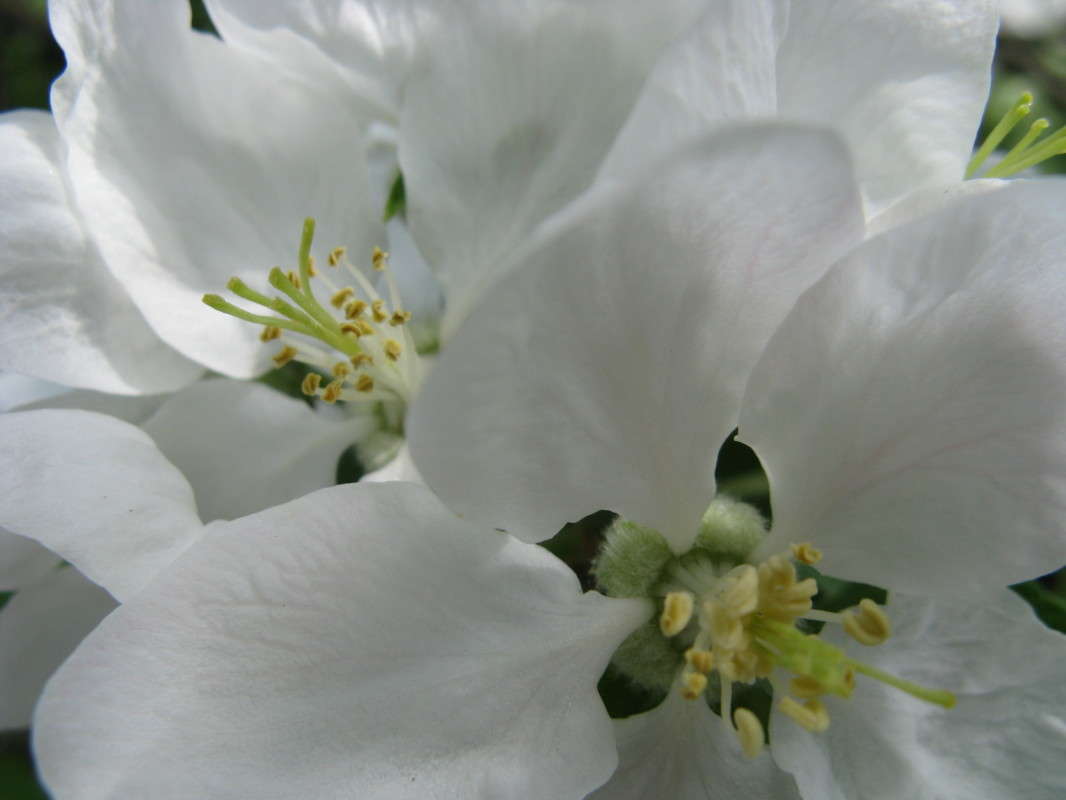 ����� ����� ����� ������� ��������� �� PhotoGeek.ru #����� #������ ��� ������� #����� ��������������