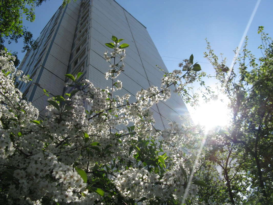 ����� � ����� ������ ����� ������� ��������� �� PhotoGeek.ru #����� #������ ��� ������� #��������� ������ #����� ��������������