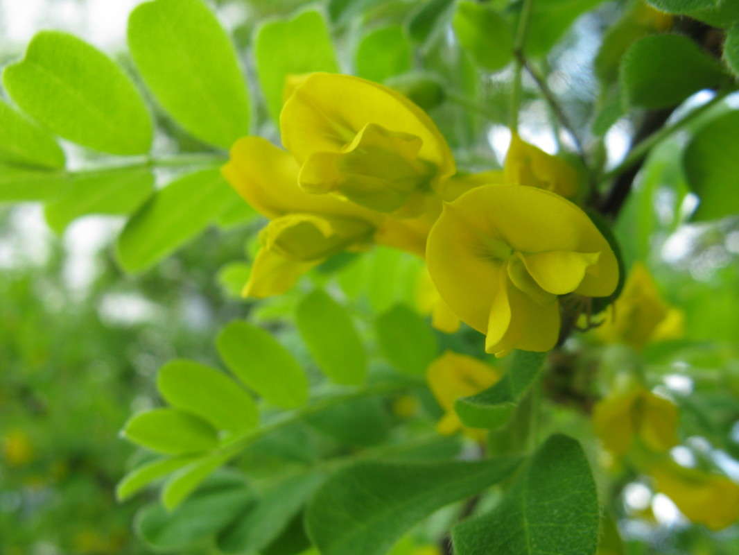 ������ ����� ����� ������� ��������� �� PhotoGeek.ru #����� #������ ��� ������� #����� ��������������