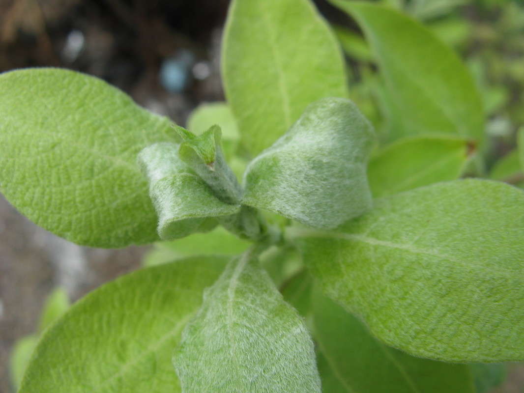 ������� ������ ����� ������� ��������� �� PhotoGeek.ru #����� #������ ��� ������� #����� ��������������