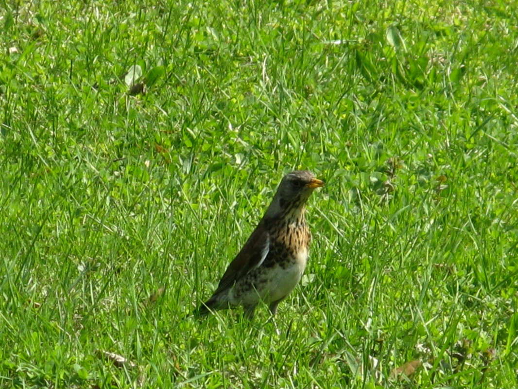 ������� ������)) ����� ������� ��������� �� PhotoGeek.ru #�������� ��� #������ ��� �������