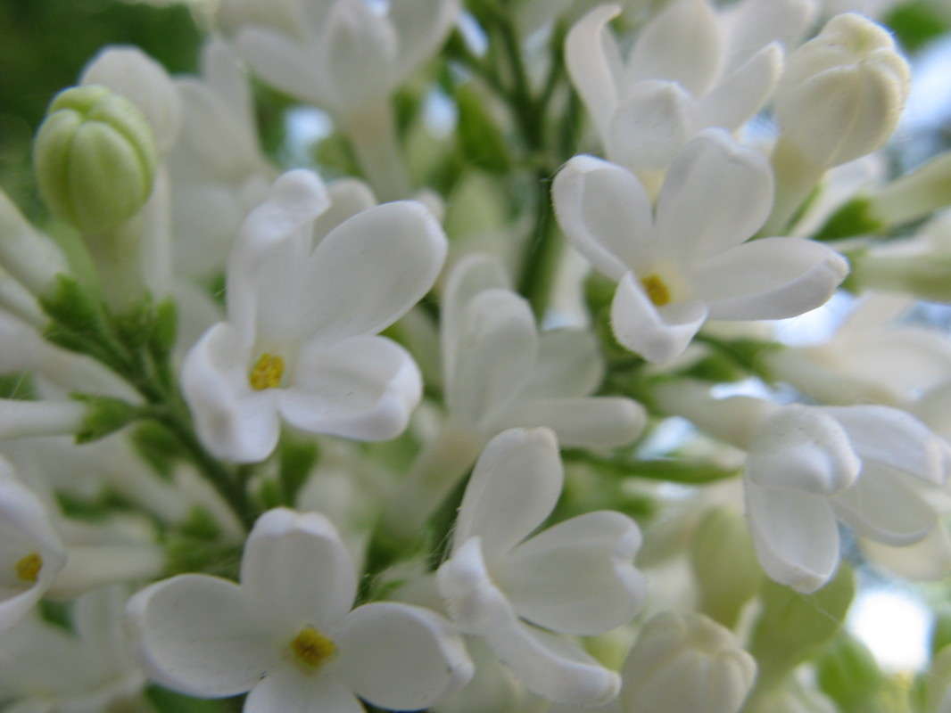 ����� ������ ����� ������� ��������� �� PhotoGeek.ru #����� #������ ��� ������� #����� ��������������