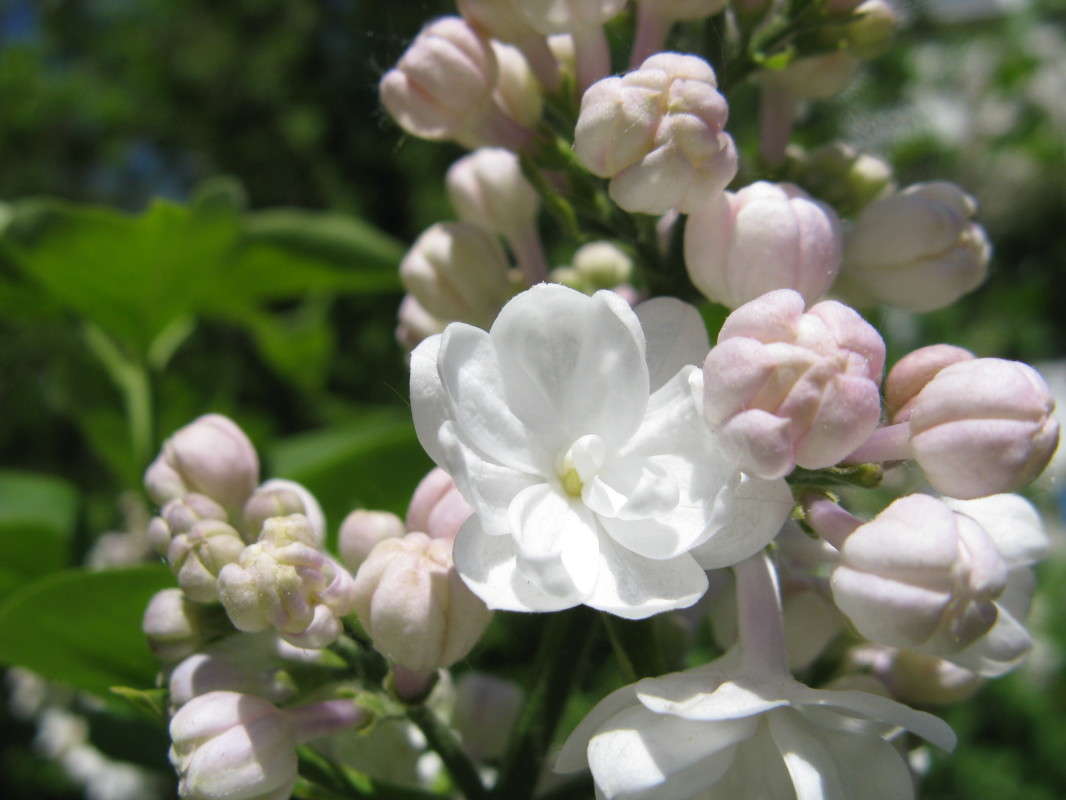 ��������� ������ ����� ������� ��������� �� PhotoGeek.ru #����� #������ ��� ������� #����� ��������������