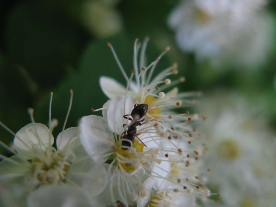 ������� �� ������ ����� ������� ��������� �� PhotoGeek.ru #����� #������ ��� ������� #����� �������������� #���������