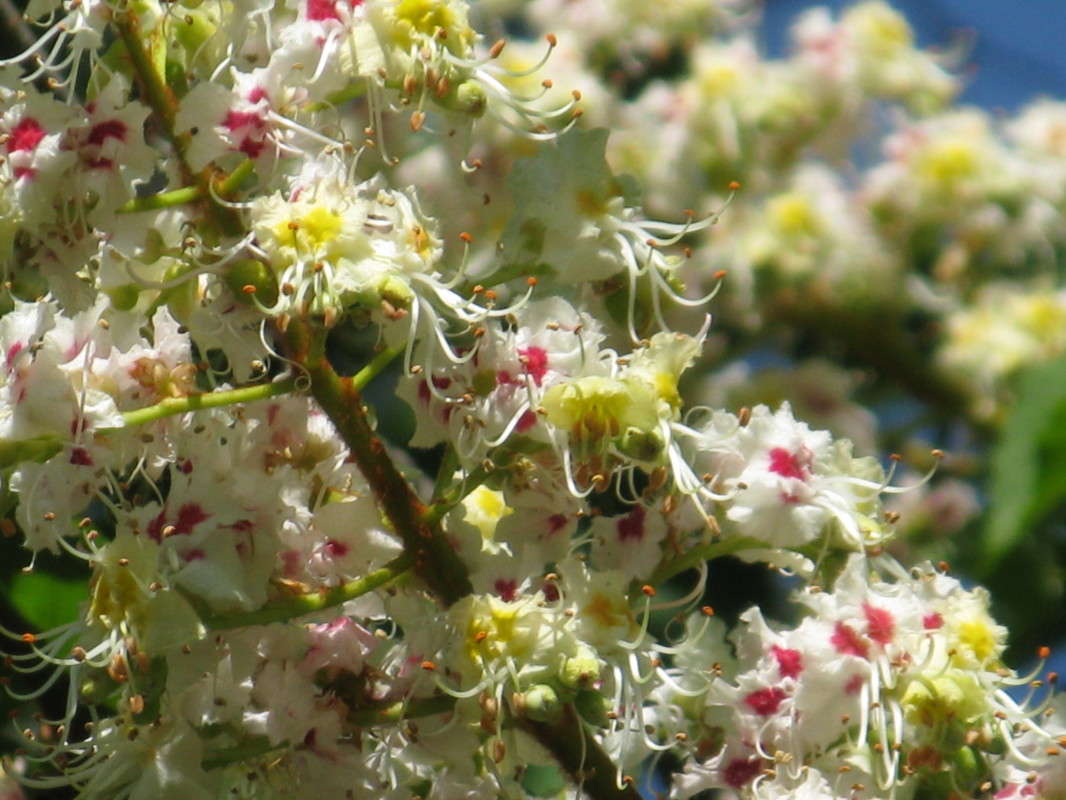 �������� ������ ����� ������� ��������� �� PhotoGeek.ru #����� #������ ��� ������� #����� ��������������