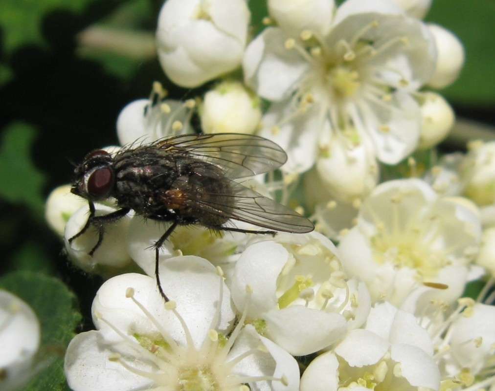 ���� ����� ������� ��������� �� PhotoGeek.ru #����� #������ ��� ������� #����� �������������� #���������