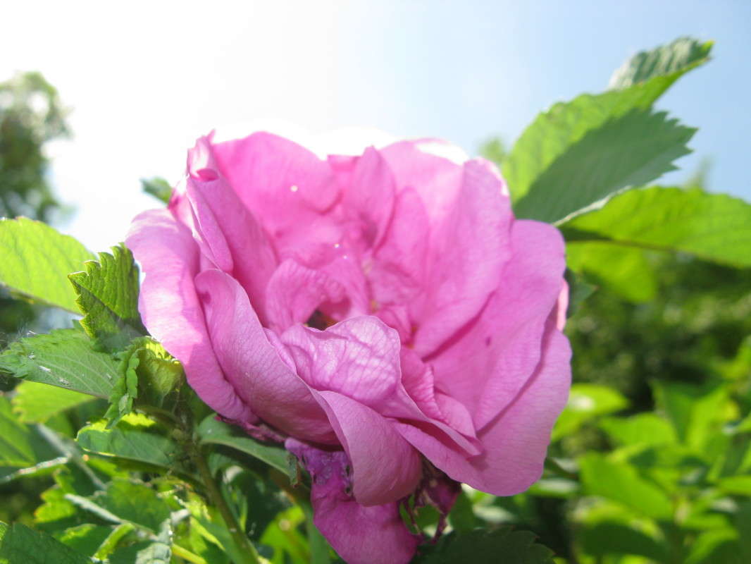 �������� ������ ����� ������� ��������� �� PhotoGeek.ru #����� #������ ��� ������� #����� ��������������