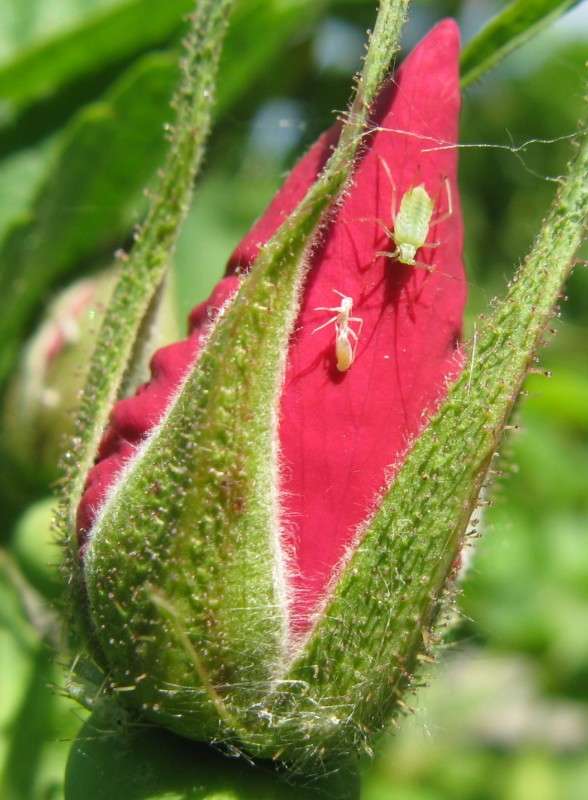 ���������� � �������, �� ��������� ����� ������� ��������� �� PhotoGeek.ru #����� #������ ��� ������� #����� �������������� #���������