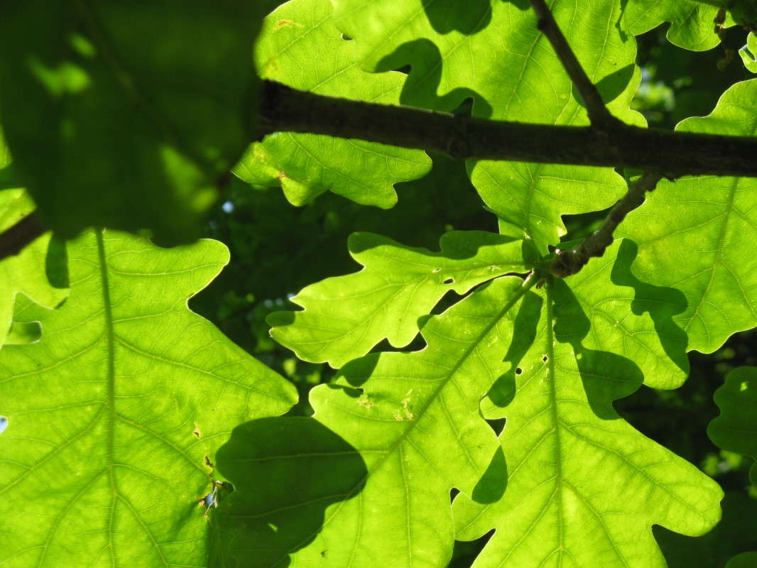 ������. ��������� ����� ������� ��������� �� PhotoGeek.ru #������ ��� ������� #����� ��������������