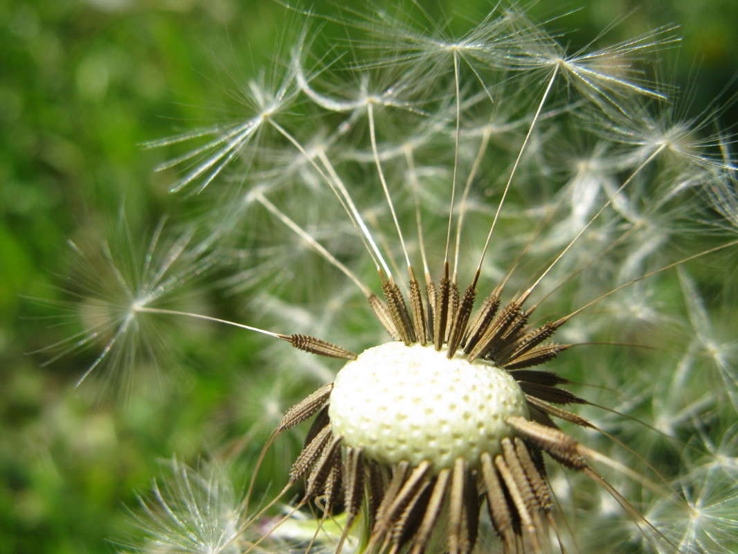 ����������, � ����! ����� ������� ��������� �� PhotoGeek.ru #����� #������ ��� ������� #����� ��������������