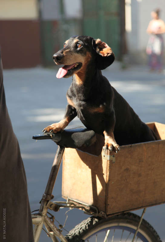 "�������!" ����� ������� ������ �� PhotoGeek.ru #�������� ���