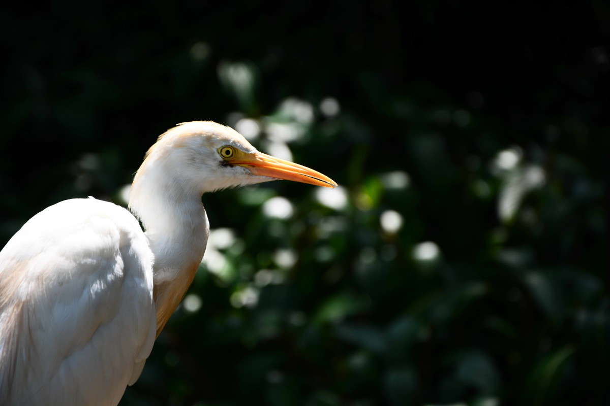 xxx ����� Nata Lee  �� PhotoGeek.ru #�������� ���