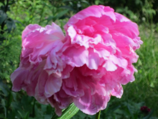 ���� ����� ������� ������� �� PhotoGeek.ru #����� #���� #���� #������ #�����