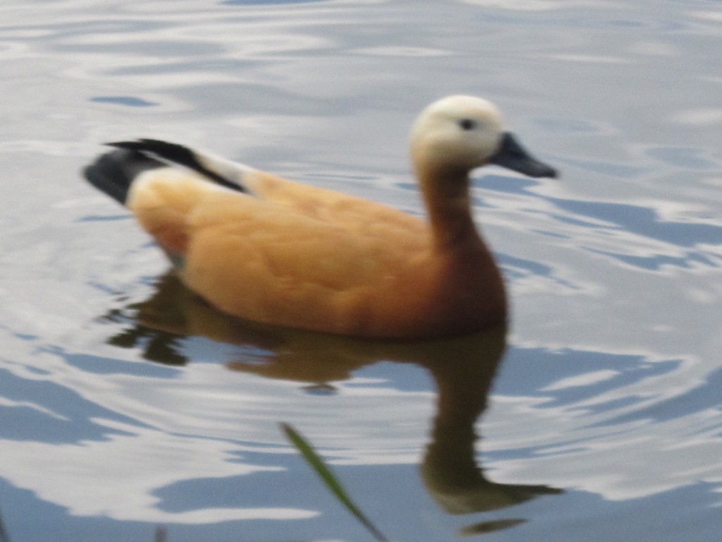 ������� ���� ����� ������� ������� �� PhotoGeek.ru #����� ���� #����� �������. #�������� #������� #������� ���� #����� #��������� #����� #����� #����� ����� #���� #���� �� ����� #���� ������� #����