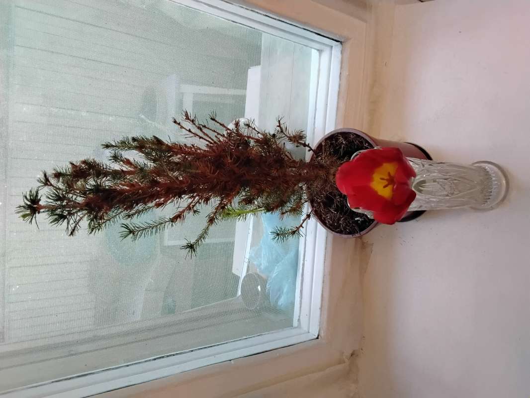 ������ � ���������� ����� ������� ������� �� PhotoGeek.ru #��������� #�������� #������� #������ #������ ������� #����� ��������