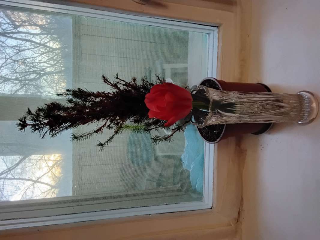 ������ � ���������� ����� ������� ������� �� PhotoGeek.ru #��������� #�������� #������� #������ #������ ������� #����� #����� ��������