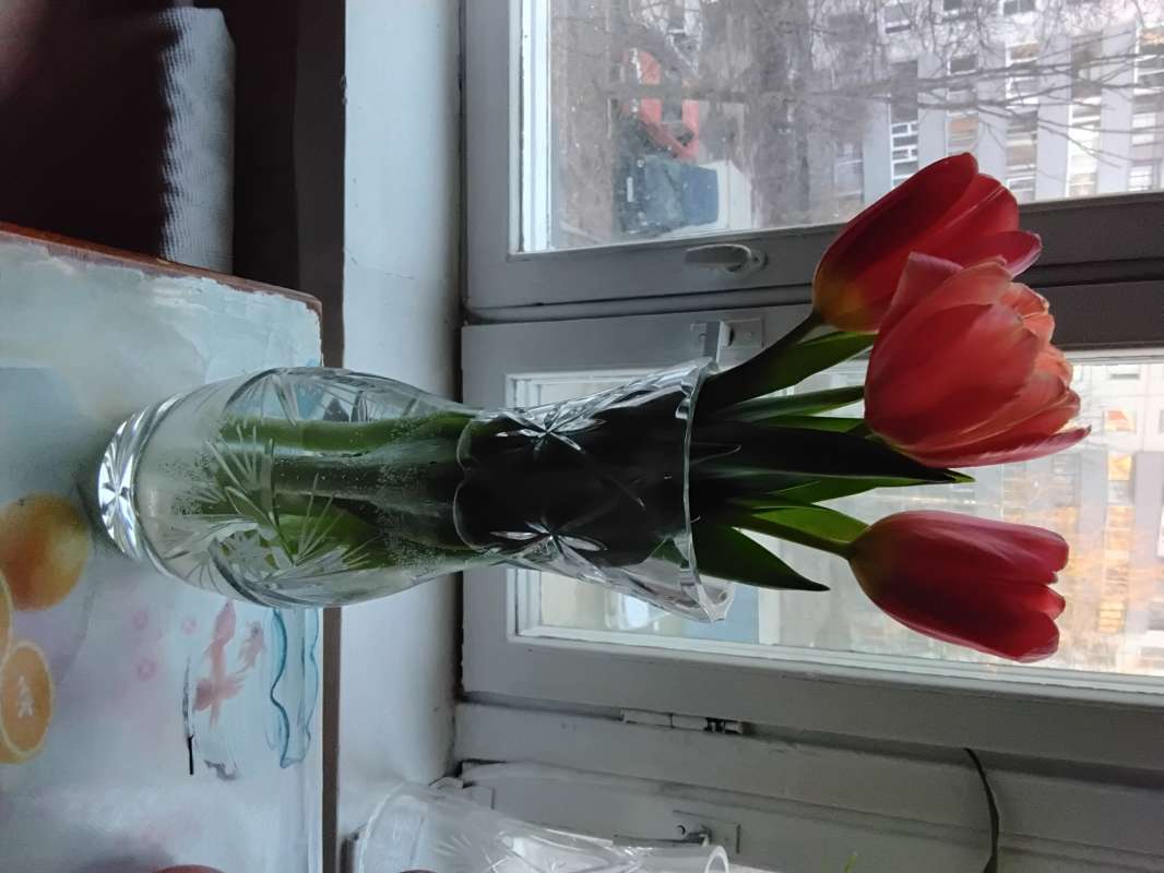 ��� ������� ������ ����� ������� ������� �� PhotoGeek.ru #��������� #������� #������� #�������� #������ #������ ������� #����� #����� ��������