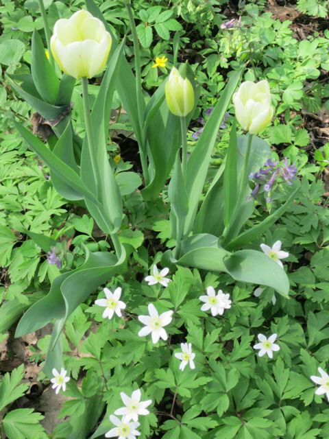 ��� ������� �������� ����� ������� ������� �� PhotoGeek.ru #������ ��� ������� #������������ ��� #����� #����� �������������� #������ #�������� #������� #�������� #����� #������ #������ ������� #�����