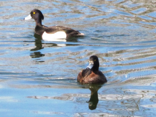 ������� �������� ����� ������� ������� �� PhotoGeek.ru #�������� ��� #��������� ����� #����� ���� #����� ��� ��� ��������� #����� #����� #����� ����� #���� #�������