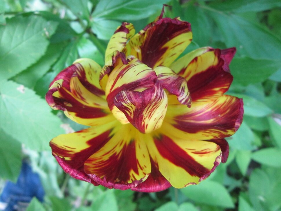 �������� ������ ����� ������� ������� �� PhotoGeek.ru #����� #������ ��� ������� #����� �������������� #�������� ������� #������� #�������� #������ #����� #����� ��������