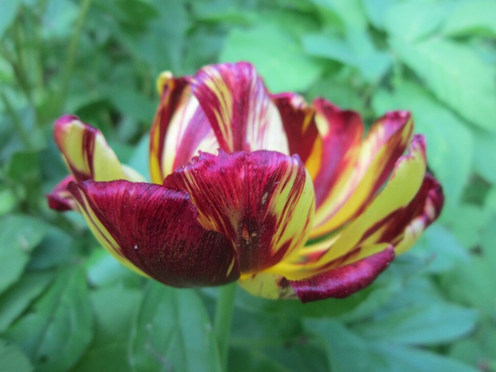 ��� ����� ����� ������� ������� �� PhotoGeek.ru #����� #������ ��� ������� #����� �������������� #�������� ������� #������� #�������� #������ #������ ������� #����� #����� ��������