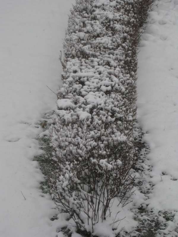 � ������ ��� ����� � �����. ��� 2025 ����� ������� ������� �� PhotoGeek.ru #������ ��� ������� #���� #��������� #������� #�������� #�������� #���� #�����