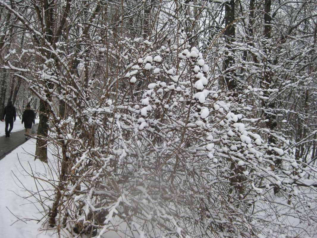 � ������ � ��� ���� ���������. ��� 2025 ����� ������� ������� �� PhotoGeek.ru #������ ��� ������� #����� #����� �������������� #��������� #���� #��������� #���� #�������� #�������� #���� #�����