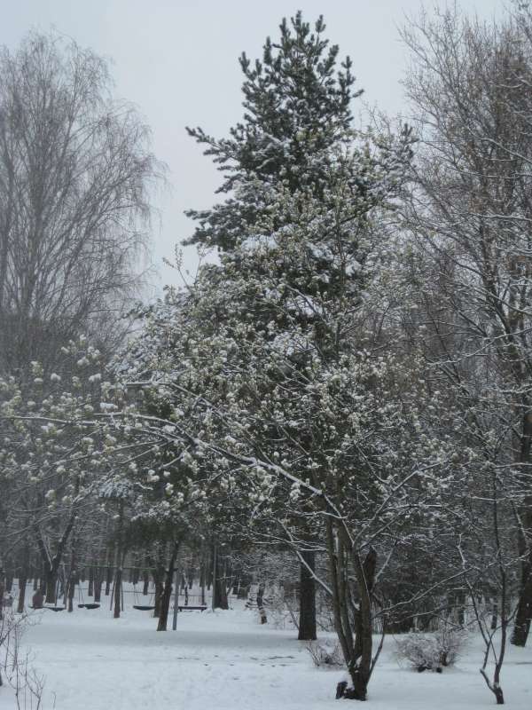 ���� � ������ ��������. ��� 2025 ����� ������� ������� �� PhotoGeek.ru #������ ��� ������� #������ #������� #����� �������������� #��������� #������ #�������� #���� #������ �������� #������� #�������� #�������� #����� #�����