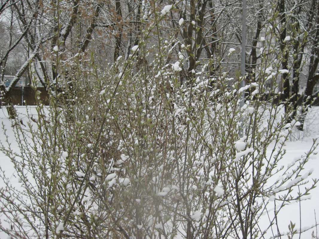 ���� � ������ ��������. ��� 2025 ����� ������� ������� �� PhotoGeek.ru #������ ��� ������� #������ #����� #����� �������������� #��������� #���� #��������� #�������� #������ �������� #������� #���� #�����