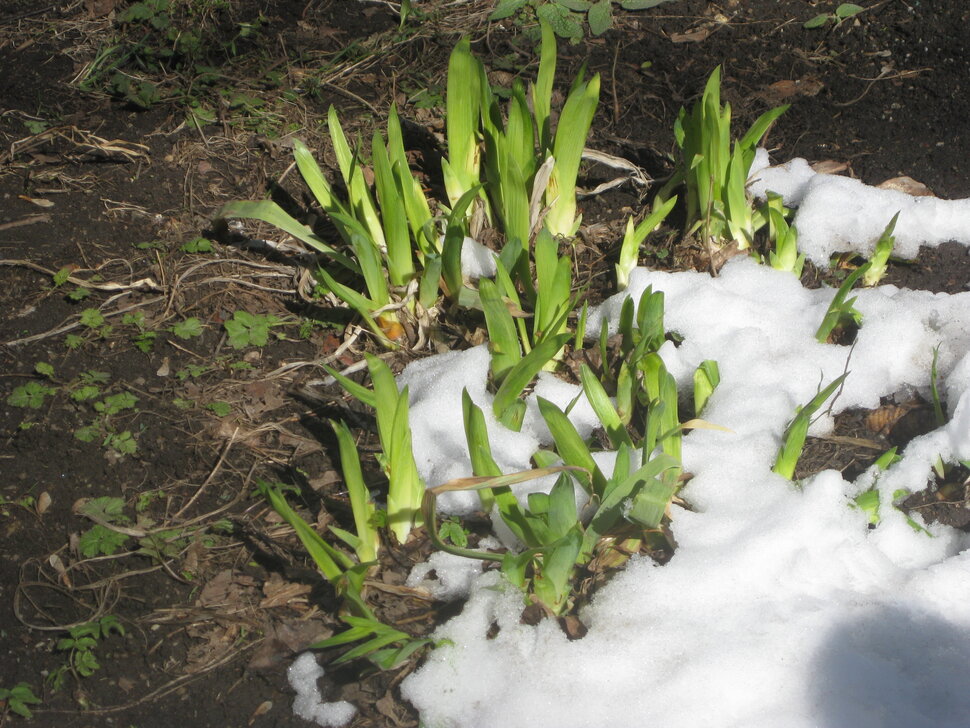 �������� ����� ����� ������� ������� �� PhotoGeek.ru #������ ��� ������� #������ #����� #����� #������ #������� #�������  � ��������  ����� #������� ���������� ��� #������� ������������ ��� #�������� #�������� #������ #���� ����