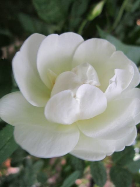 ����� �������� ����� ������� ������� �� PhotoGeek.ru #����� #������ ��� ������� #����� #����� ���� #����� �������������� #���� #��������������� #������� #�������� #���� #����� #�������� #������ #����� #��������