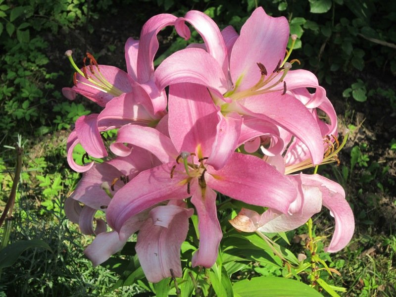 ����� ��������� ����� ������� ������� �� PhotoGeek.ru #��������� ����� #����� #����� #����������� #������� ���� #������ #�����